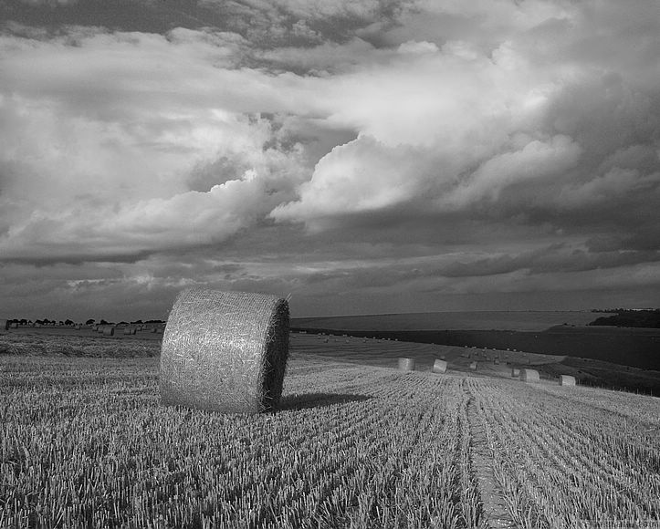 Field above Mere (converted to monochrome in Photoshop).
