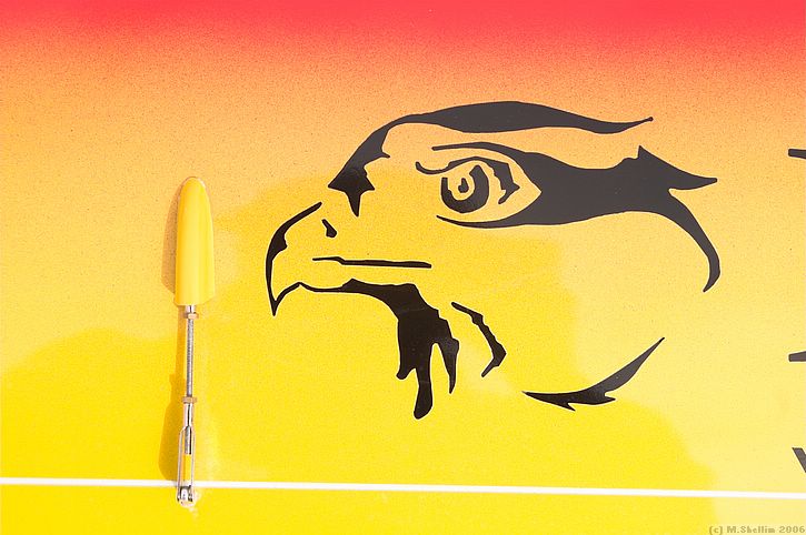 Artwork on Frank Hulton's Falcon