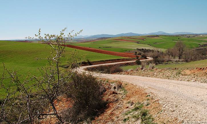 Typical colours of the countryside.