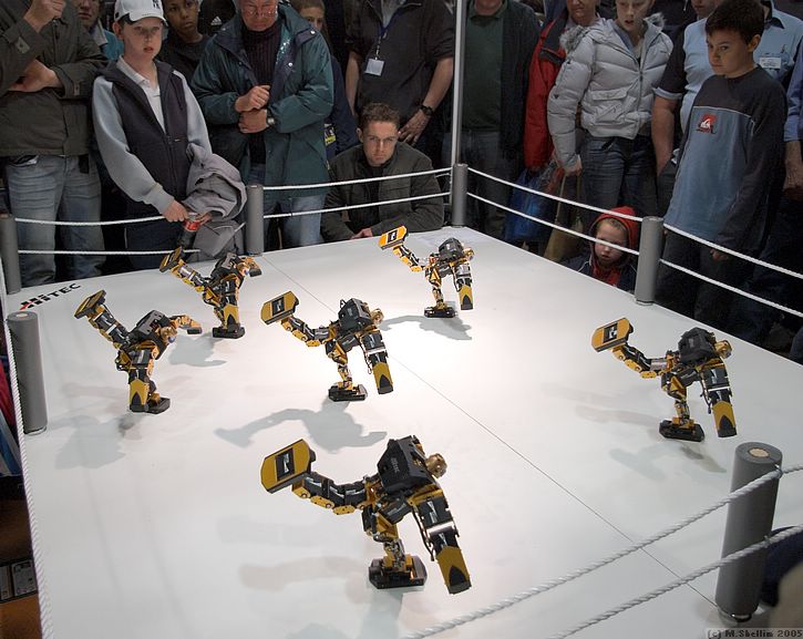 Really cool routines synchronised using Bluetooth receivers mounted on each robot.