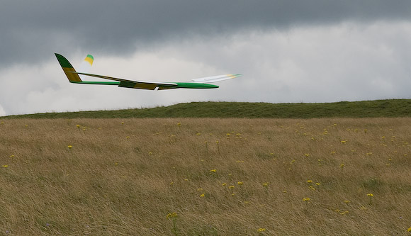 Graham's Ascot on finals