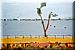 The Hooghly River from Garden Reach, Calcutta