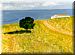 View of the English Channel from the South Downs (1)