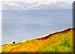 View of the English Channel from the South Downs (2)