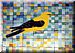The Golden Oriole